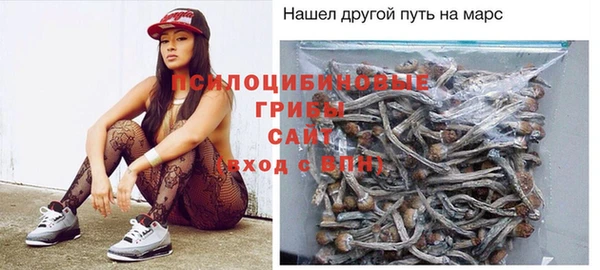 амф Абинск