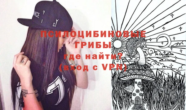 амф Абинск