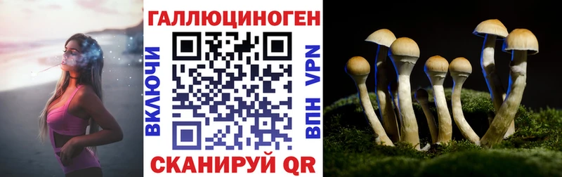 Галлюциногенные грибы GOLDEN TEACHER  Сургут 